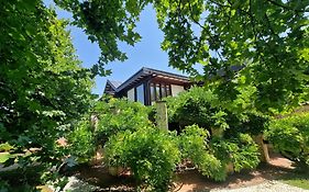B&B Villa Sbaraglia